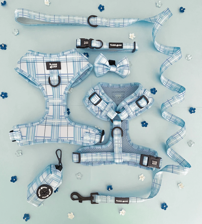 Oxford "Oasis" Dog Lead – by Flossie & Floof