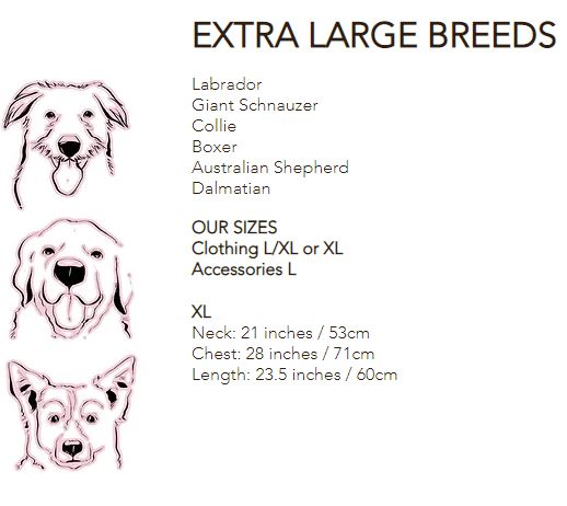 Indie Shirt Dog Collar by Red & Ginger