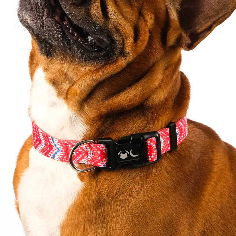 The Tod Dog Collar - by Neon Moon Pet Boutique
