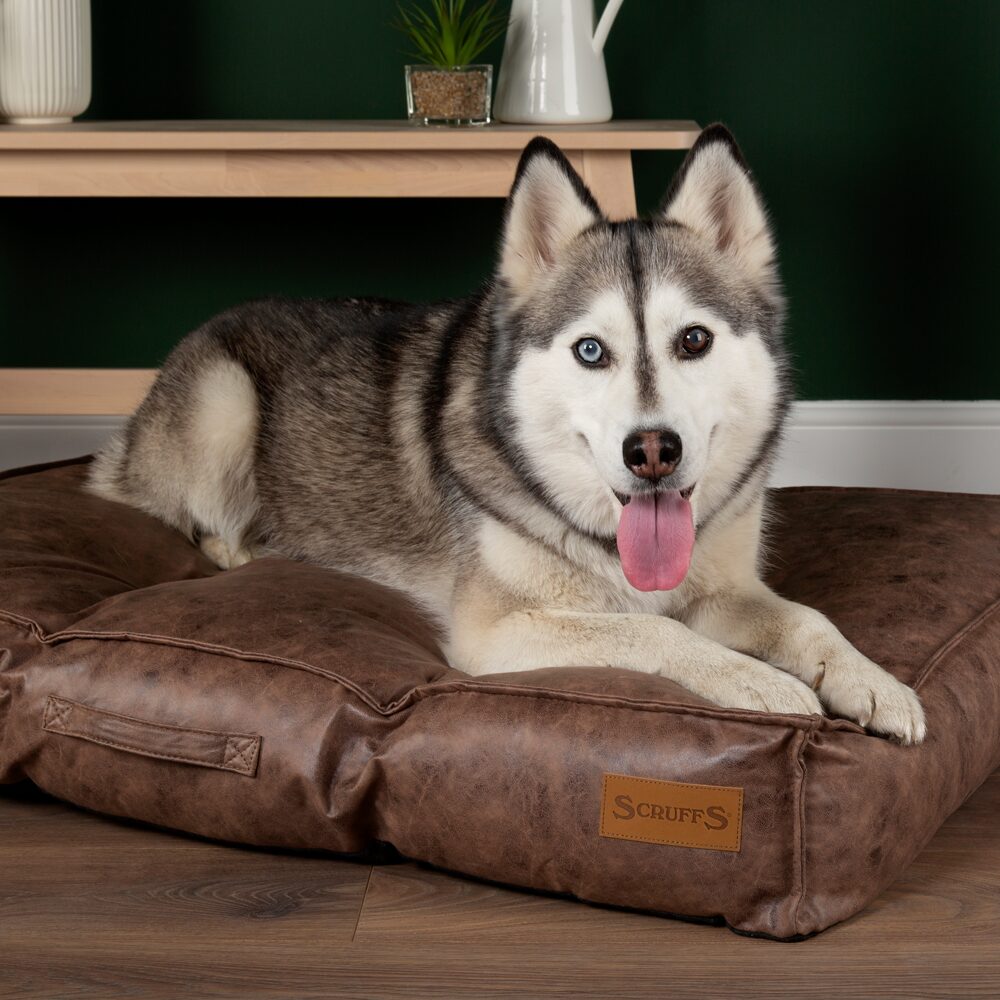 Knightsbridge Dog Mattress (Chocolate, Turquoise, Grey or Olive) by Scruffs