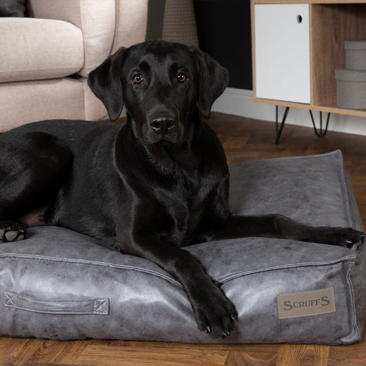 Knightsbridge Dog Mattress (Chocolate, Turquoise, Grey or Olive) by Scruffs
