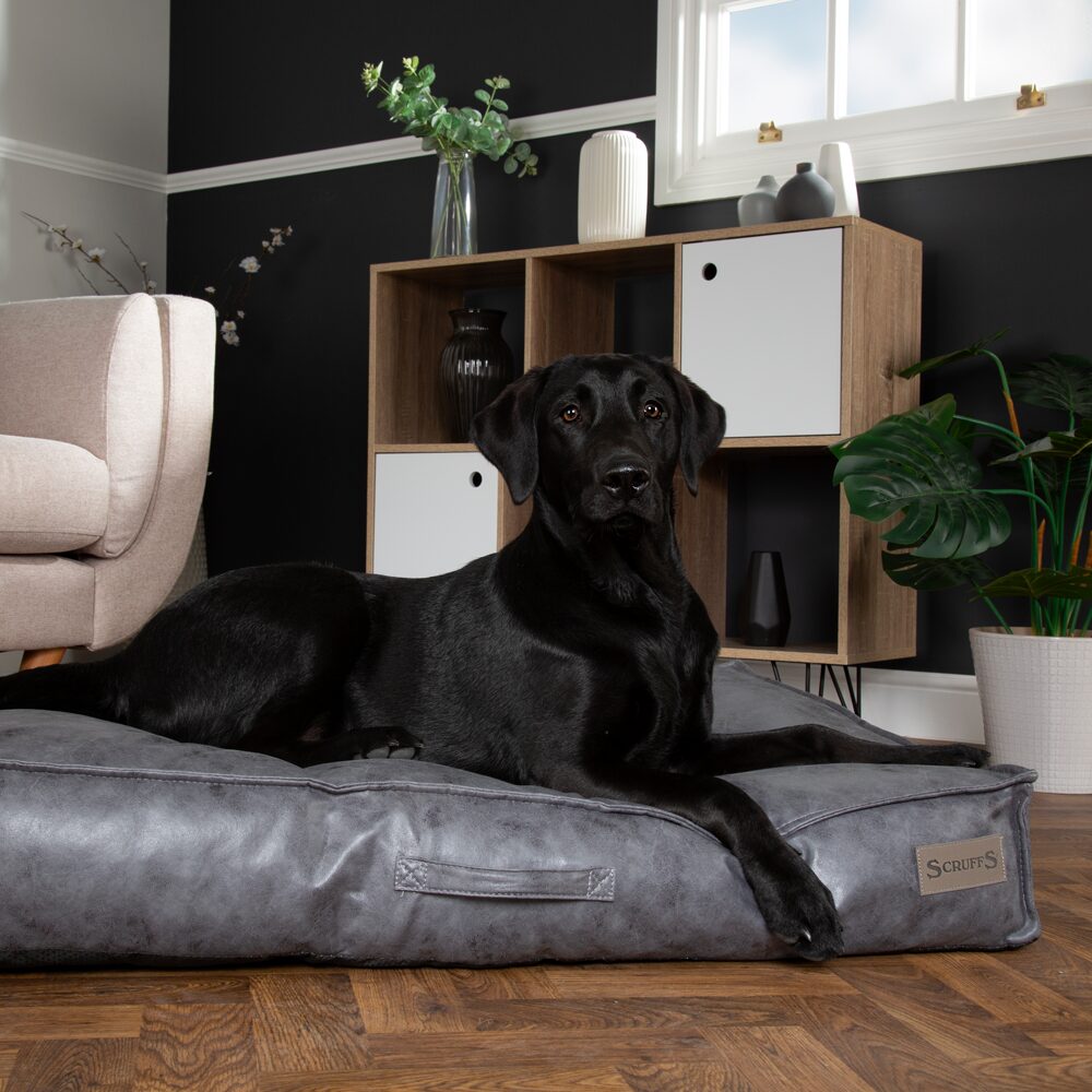 Knightsbridge Dog Mattress (Chocolate, Turquoise, Grey or Olive) by Scruffs