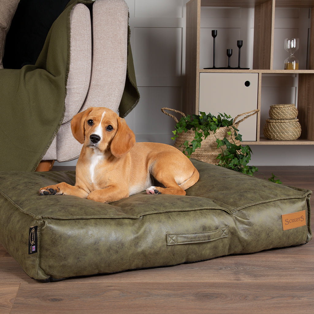 Knightsbridge Dog Mattress (Chocolate, Turquoise, Grey or Olive) by Scruffs