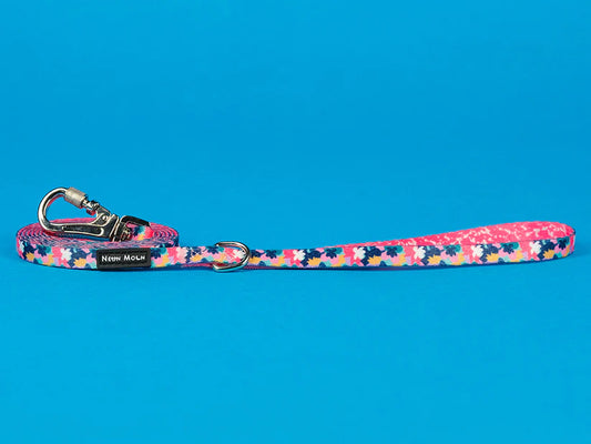 The Luna Dog Lead - by Neon Moon Pet Boutique