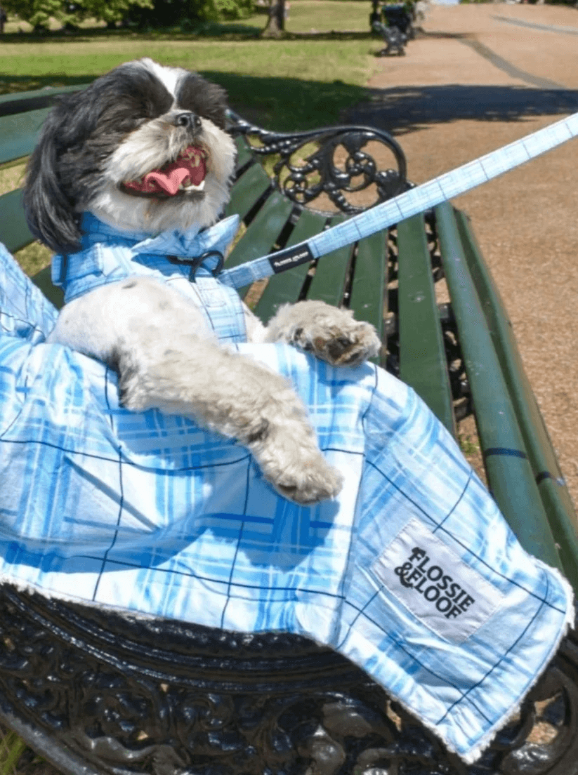 Oxford "Oasis" Dog Lead – by Flossie & Floof