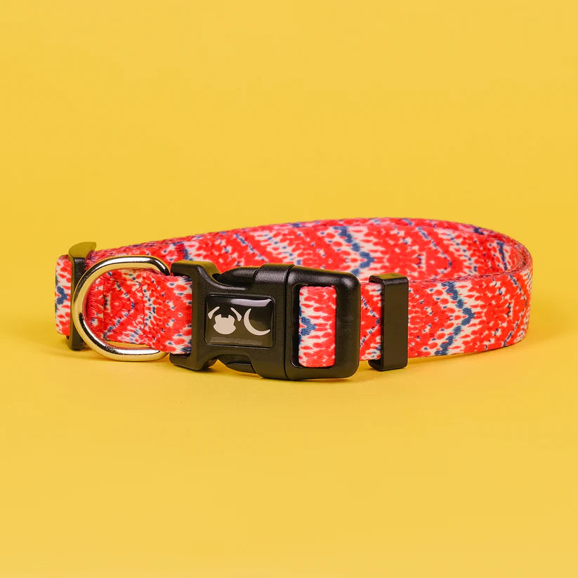 The Tod Dog Collar - by Neon Moon Pet Boutique