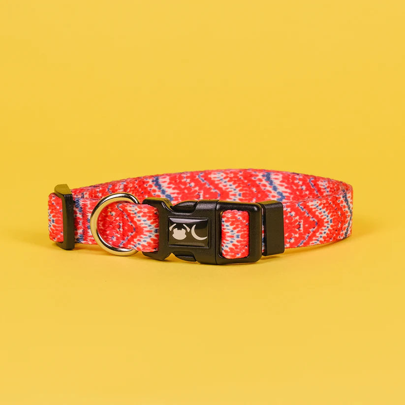 The Tod Dog Collar - by Neon Moon Pet Boutique