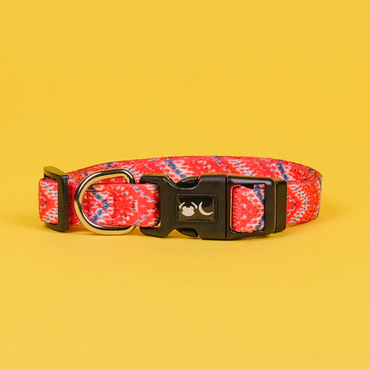The Tod Dog Collar - by Neon Moon Pet Boutique